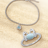 Coastal Guardian Collection Set