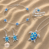 Turtle Shells | Bundle